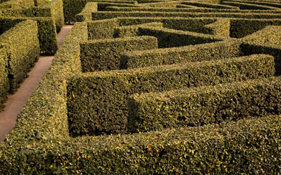 Hedge maze2